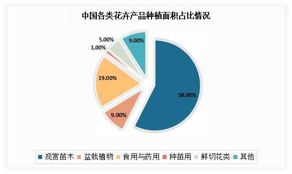 中國盆栽市場競爭態勢研究與投資戰略調研報告（2022-2023）